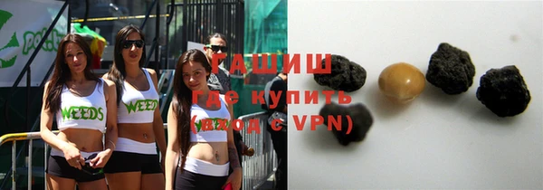 индика Белокуриха