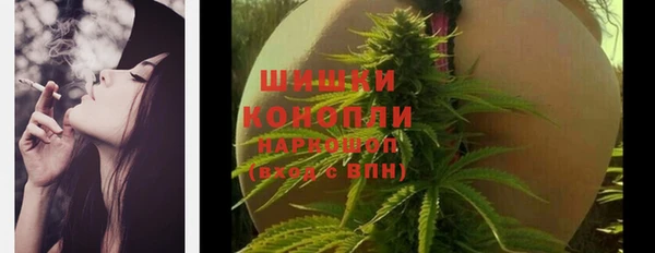 индика Белокуриха