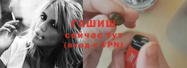 индика Белокуриха