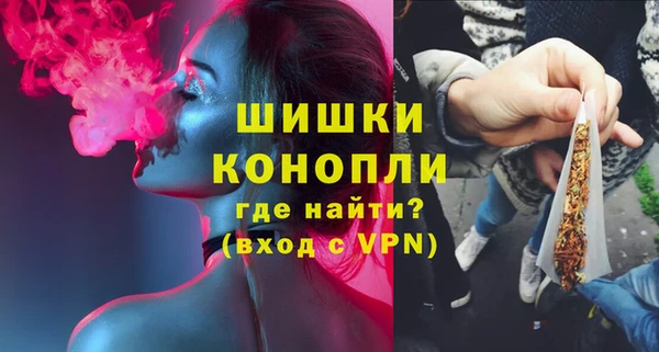 индика Белокуриха