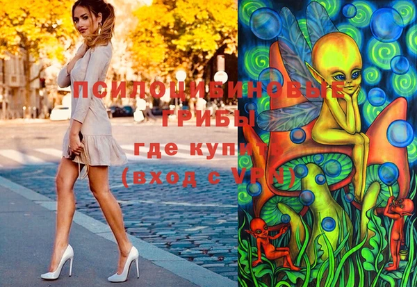 индика Белокуриха